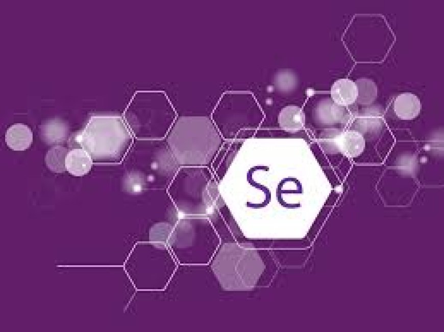 Selenium Course in Bangalore