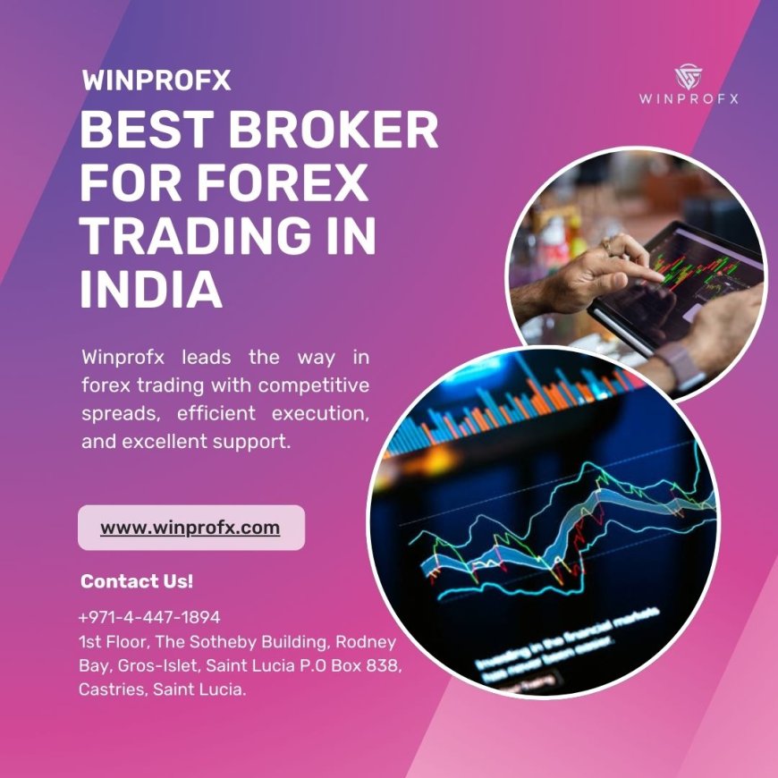 How WinProFx's Tools Help You Choose the Best Forex Broker for Your Style