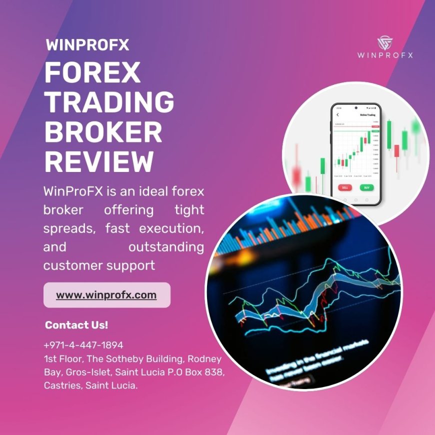 What Are the Key Considerations Before Opening a Forex Account with WinProFx?