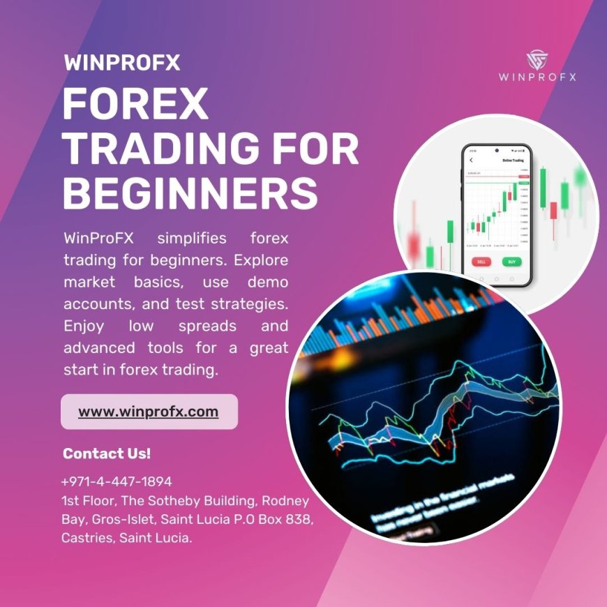 What Are Breakout Strategies in Forex and Should Beginners Use Them on WinProFx?