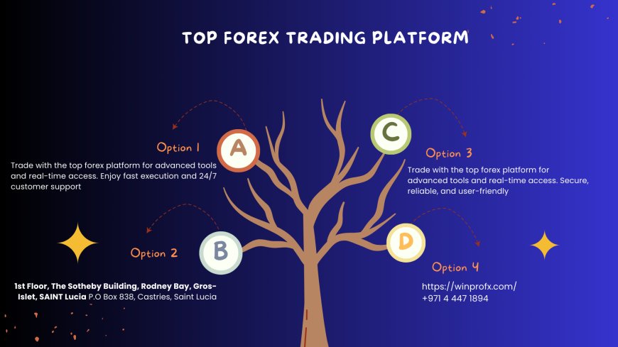 What is Top Forex Trading Platform