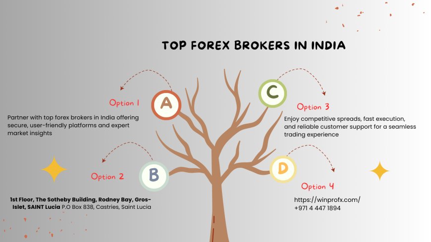 What is Top Forex Brokers In India