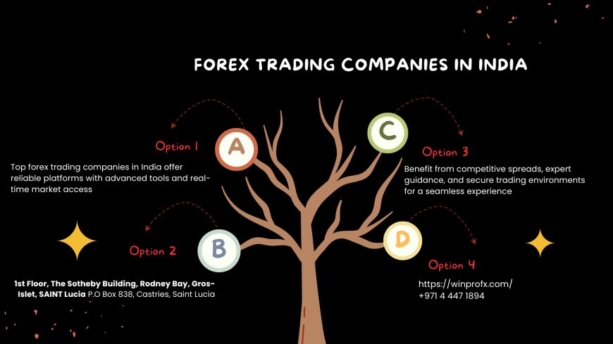 What is Forex Trading Companies In India