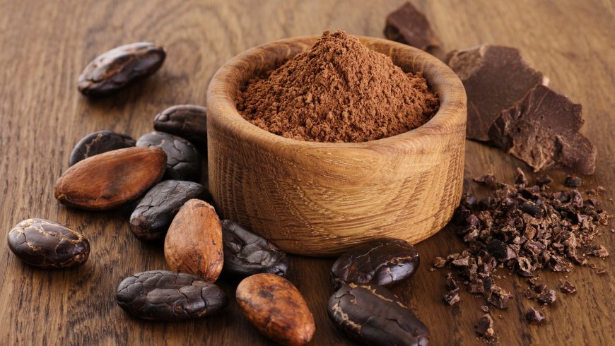 Detailed Report on Cocoa Bean Processing Plant Setup Cost, Layout and Raw Material Requirements