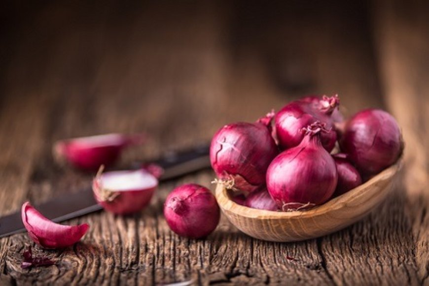 Report on Onion Processing Plant Detailing Business Plan, Cost Analysis and Material Requirements