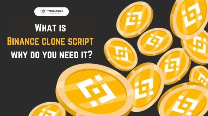 What is Binance clone script and why do you need it?