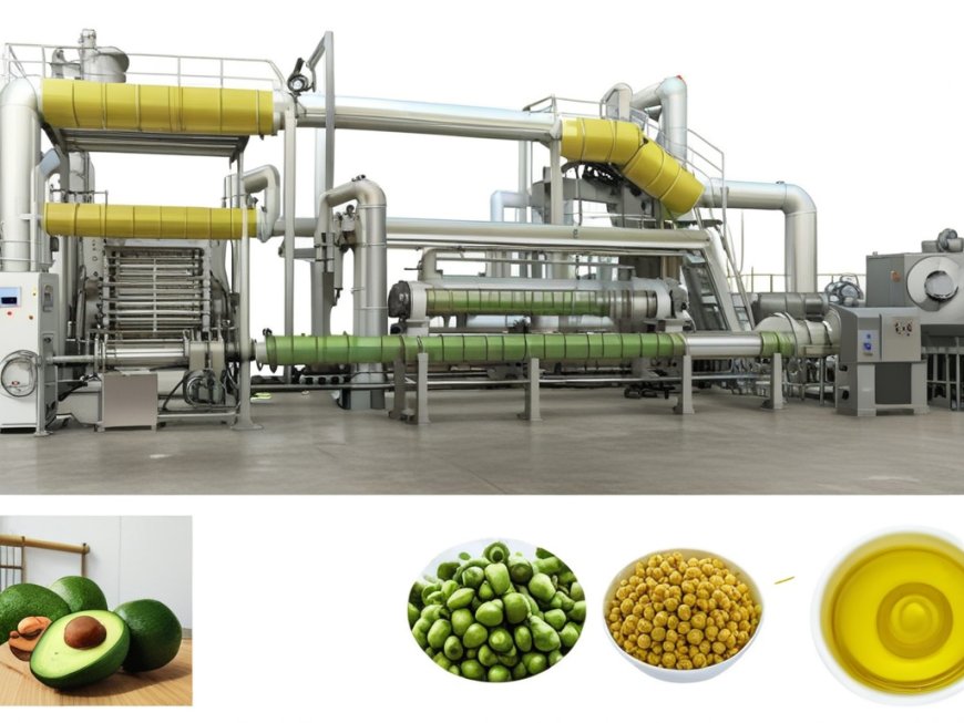 Avocado Oil Processing Plant Setup: Detailed Project Report 2025 by IMARC Group