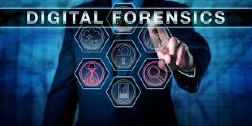 Digital Forensics Market Size, Share | Global Growth Report [2032]