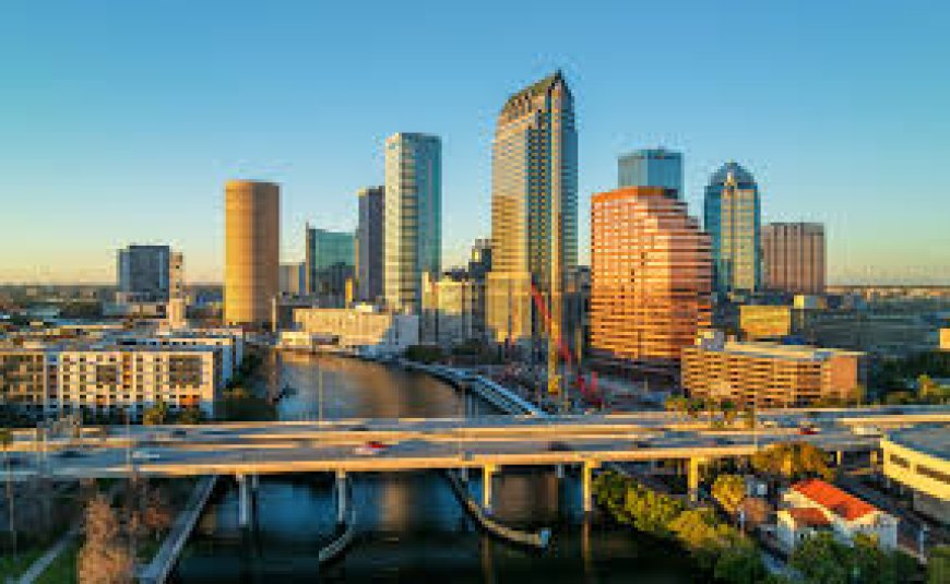 Why Property Management Tampa FL  is Essential for Property Owners