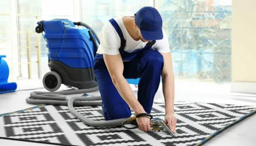 Fresh & Clean Carpets: The Best Carpet Cleaning in Vista, CA