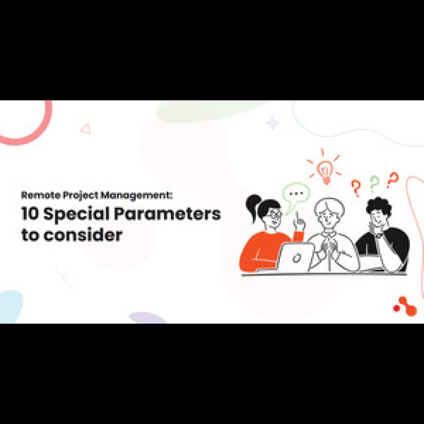 Remote Project Management: 10 Special Parameters to consider