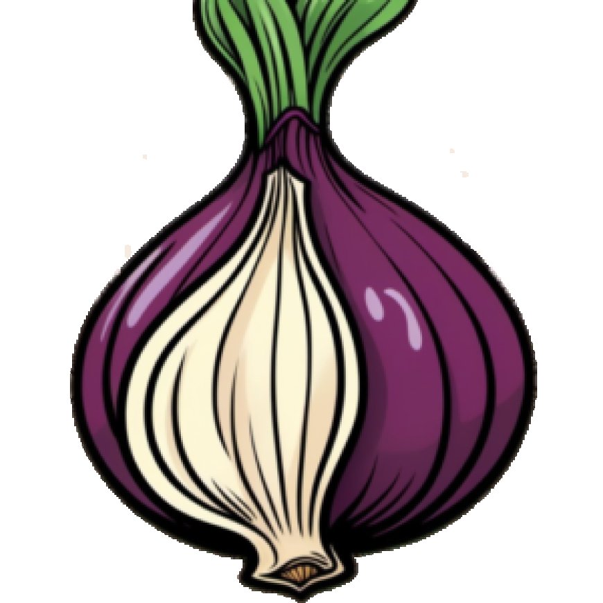 What is Tor Proxy? Exploring the Power of Anonymous Browsing