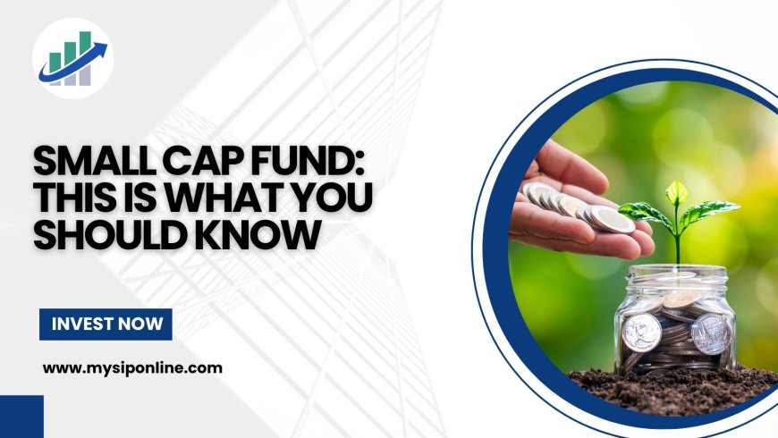 Small Cap Fund: This is what you should know