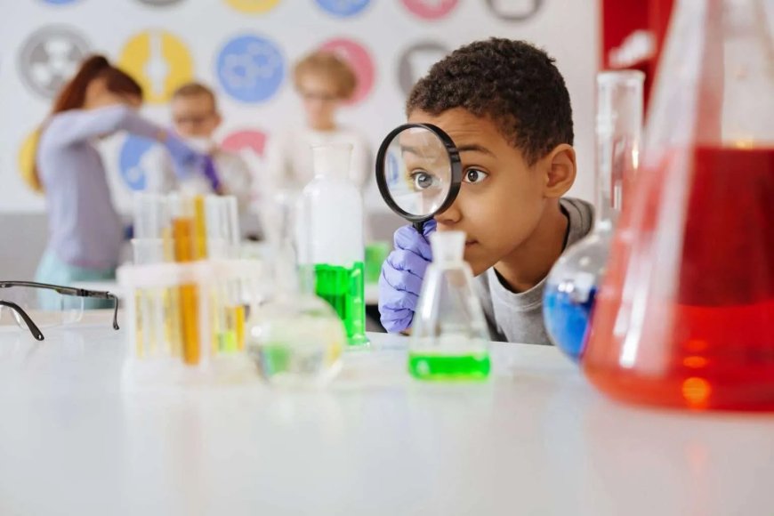 Transforming Learning into a Wonderland of Discovery: The BrayCore Education Experience