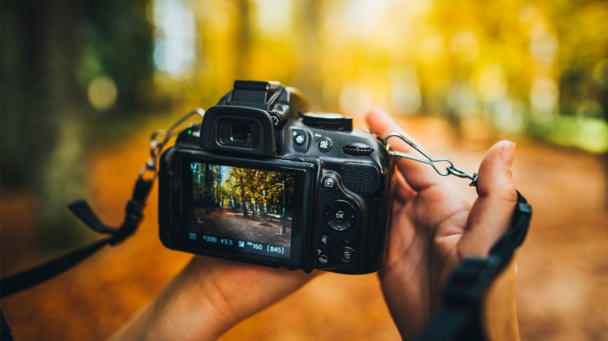 Understanding SLR Camera Features for Stunning Photography Results
