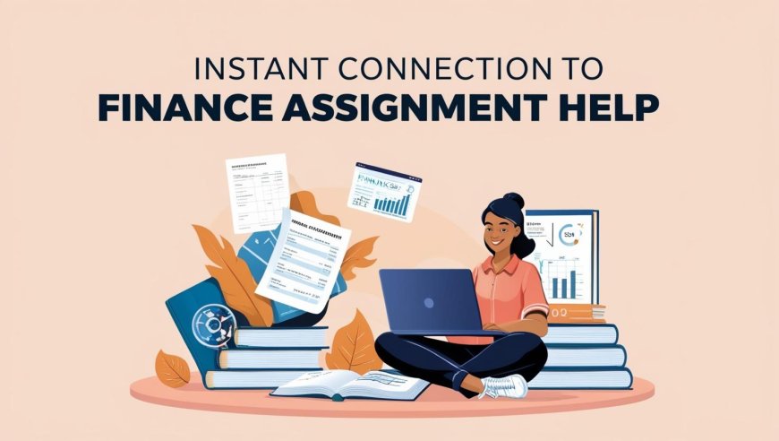 Instant Connection To Finance Assignment Help