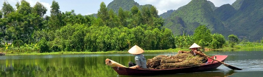Discover the Mekong Delta: A Unique Journey Through Vietnam's Water World
