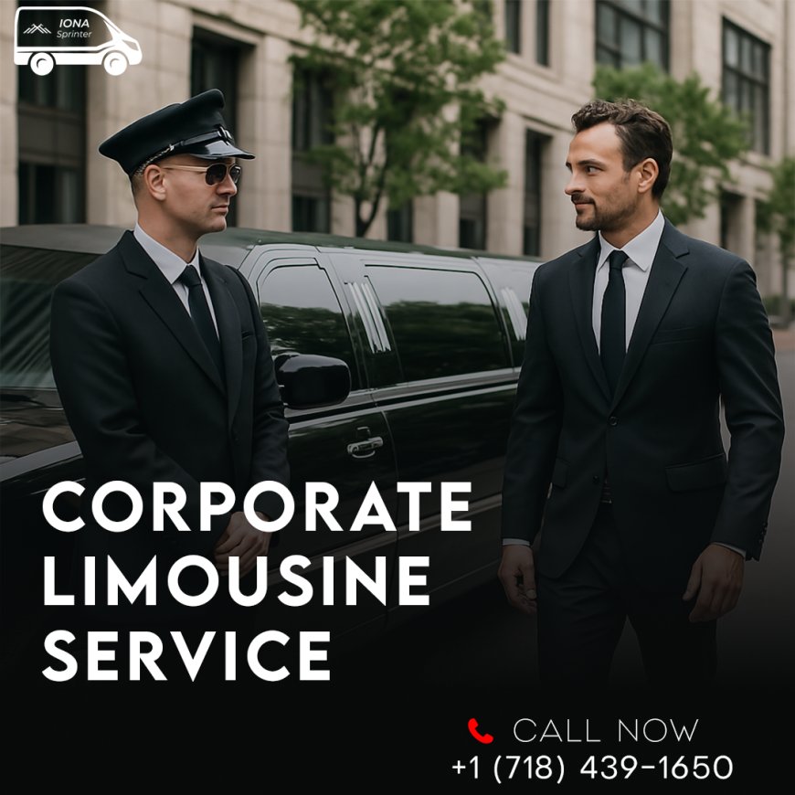Need a Ride for Your Group? Our Sprinter Van Service Has You Covered