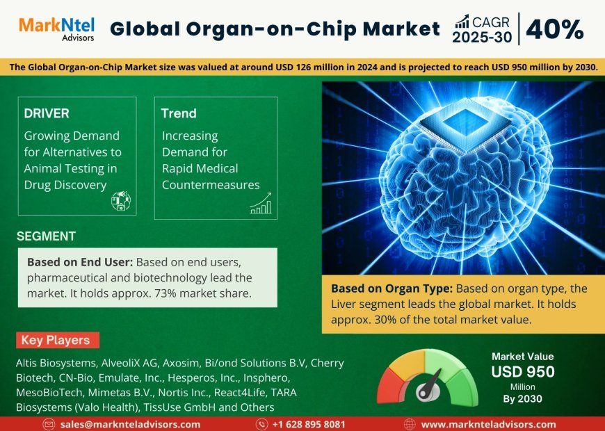 Organ-on-Chip Market Growth, Key Trends & Factor Driving Industry Till 2030