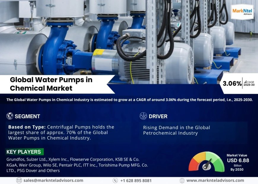 Water Pumps in Chemical Market Growth, Key Trends & Factor Driving Industry Till 2030