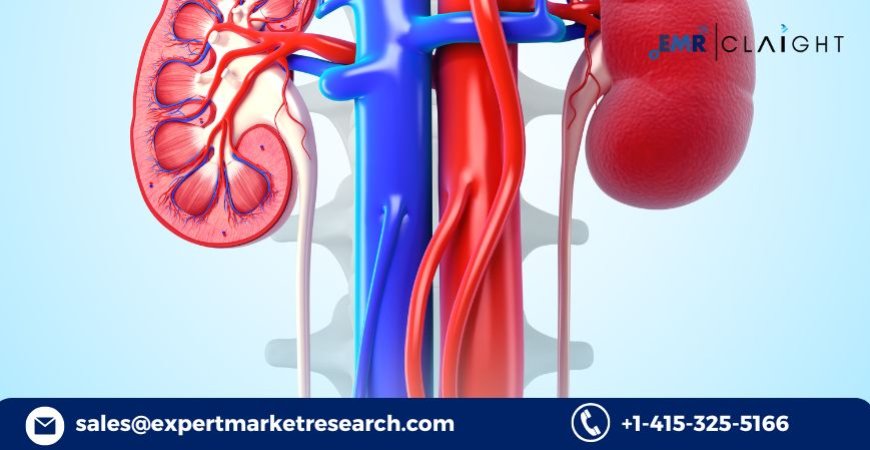 Polycystic Kidney Disease Drug Pipeline Analysis: Market Growth and Future Analysis (2034)