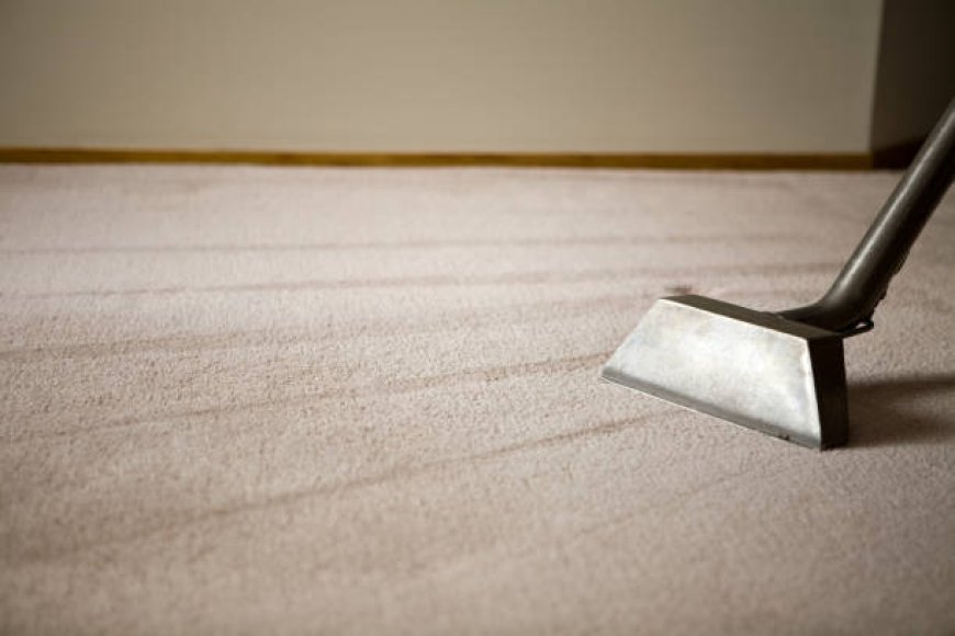 How Do You Eliminate Pet Odors from Upholstery Effectively?