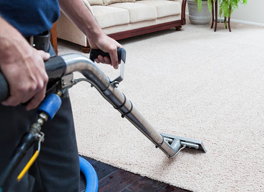 Best Ways to Keep Carpets Free from Pet Stains and Odors