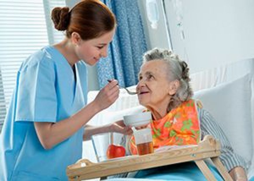 Comprehensive Overview of Croydon Home Help for Elderly
