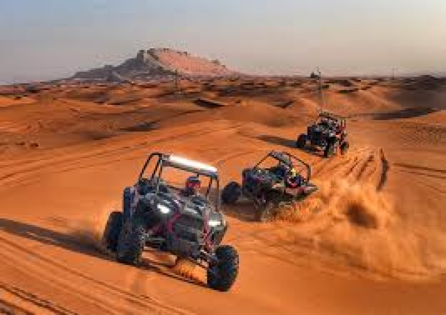 Dune Buggy Rental Guide: Everything You Need to Know Before Hitting the Sand