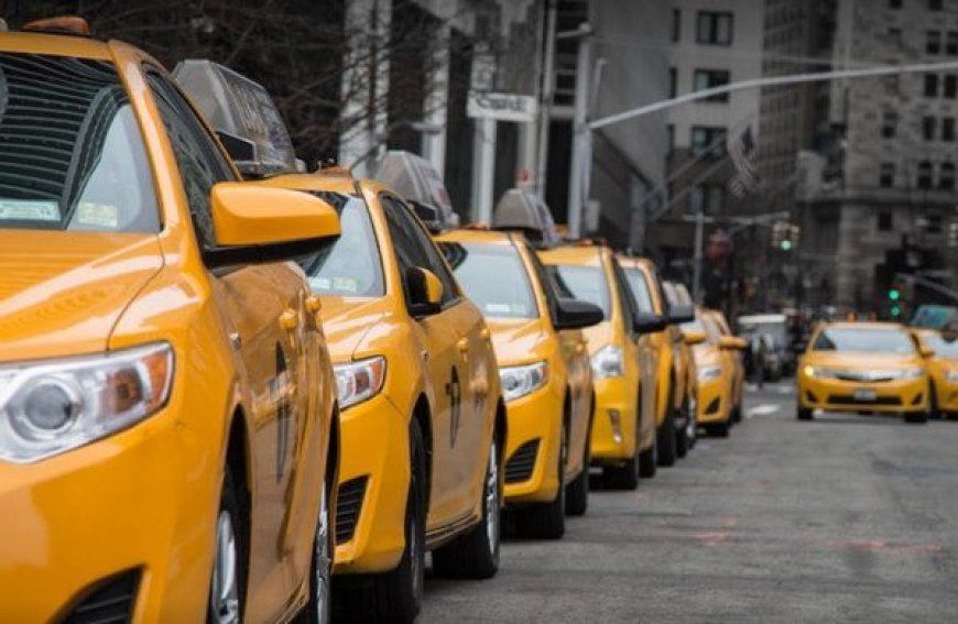 Getting Around the Hills: Why Reliable Transport Makes All the Difference