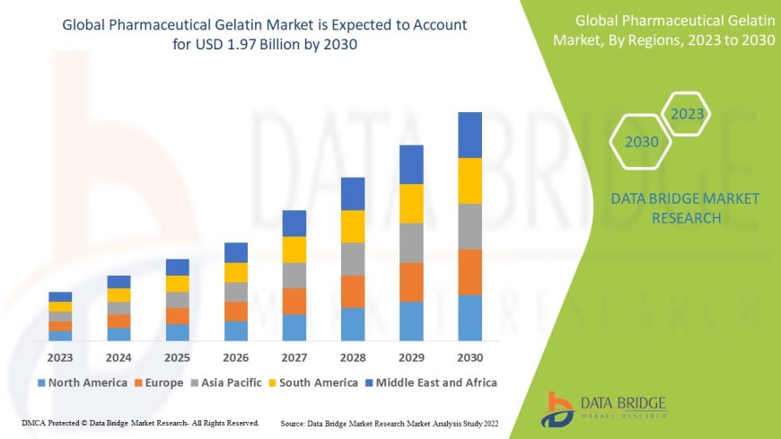 Pharmaceutical Gelatin Market: Trends, Growth, and Future Outlook