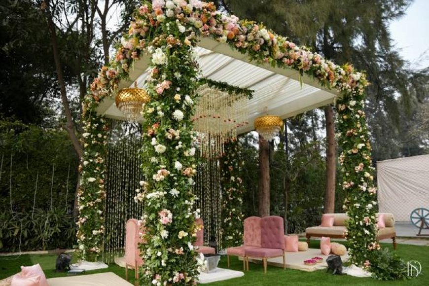 Top 10 Decorators in Faridabad Who Will Make Your Event Look Straight Out of a Dream