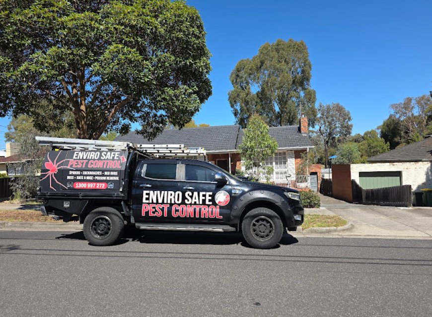 Buzz, Squeak & Scratch: Tackling Melbourne's Most Annoying Pests