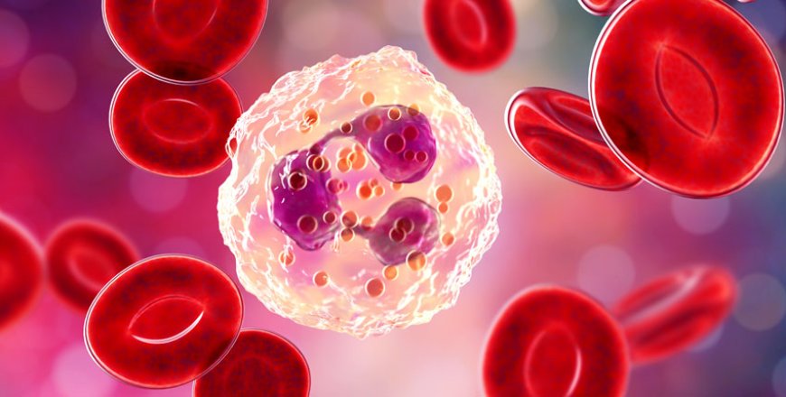 Connection Between White Blood Cells and Cancer