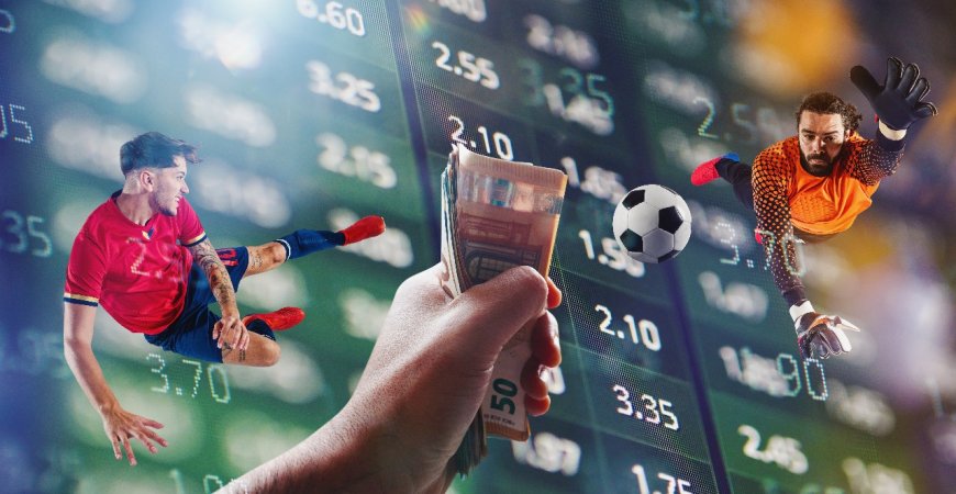 Why Enterprises Should Invest in Custom Sports Betting Software Development