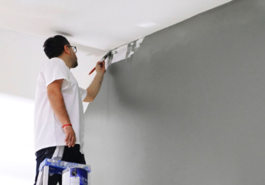 Professional Finishes That Reflect Your Brand: The Value of Hiring Expert Commercial Painters in Miami
