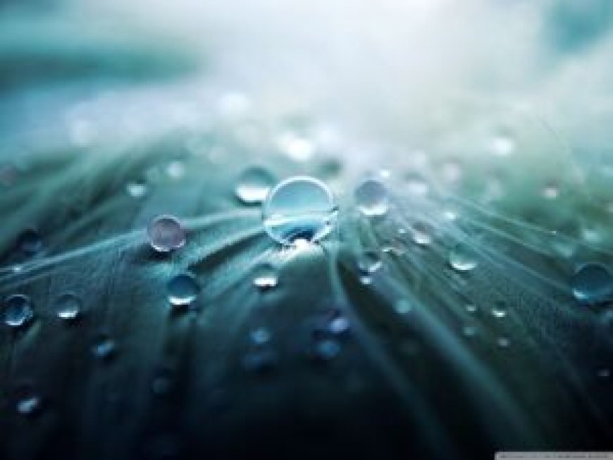 🔬 Nano Recubrimientos: La revolución invisible que protege tus muebles con Lotus UltraSeal