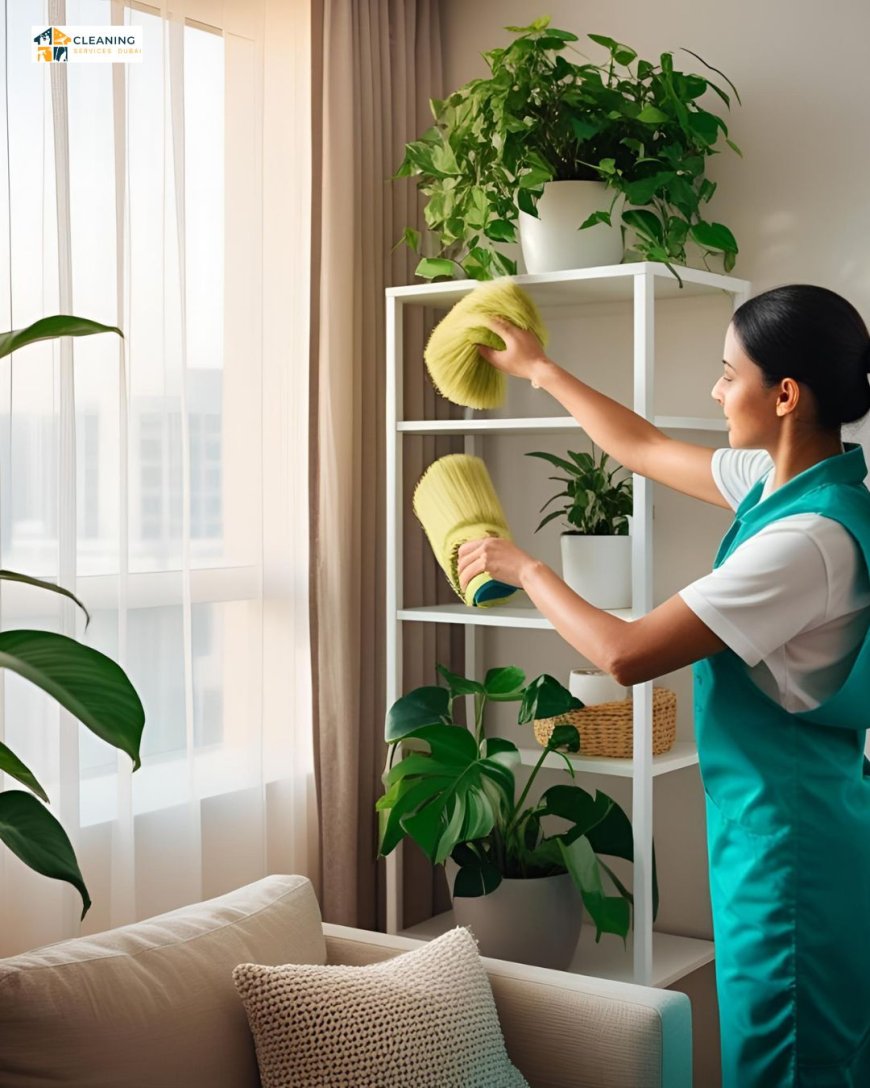 Robot Vacuums vs. Professional Cleaners in Dubai – Which Wins?