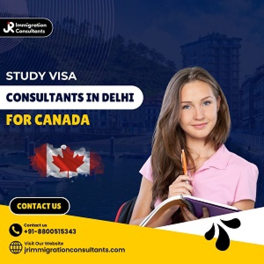 Are Study Visa Consultants Necessary for Studying Abroad