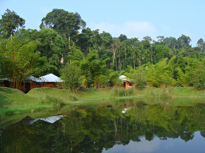 Coorg vs Ooty: Which Hill Station Should You Choose?