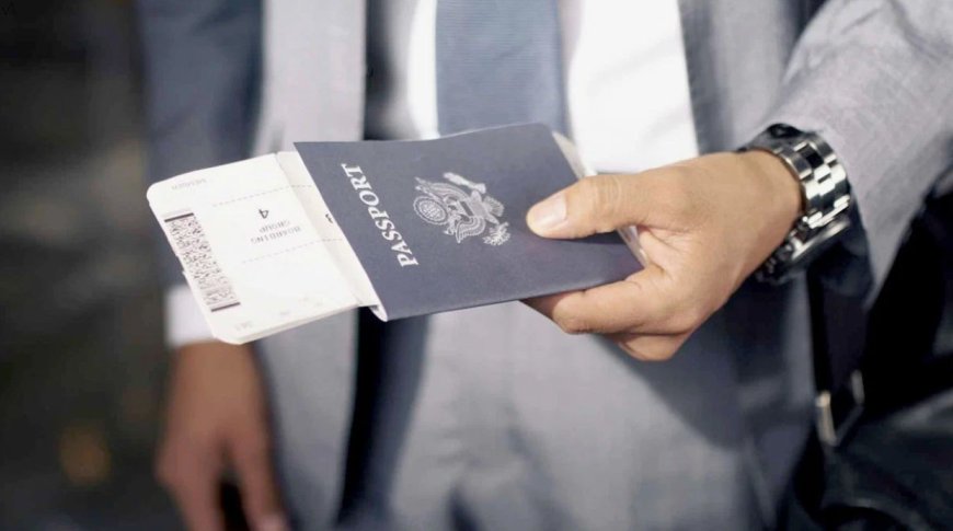 Discover Why Immigration Solicitors4me Are the Best Immigration Solicitors in London