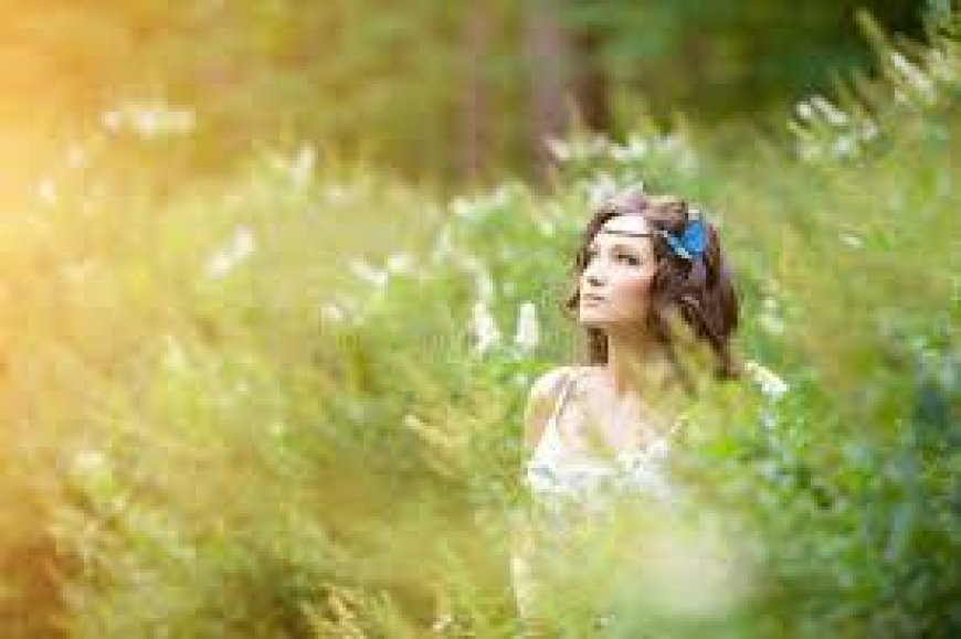 Dubai Call Girls: Understanding the High-End Companionship Scene