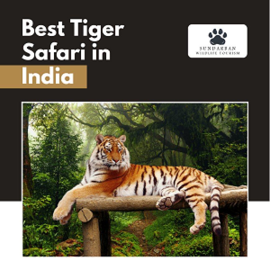 What Are the Rules and Guidelines for Tiger Safari in India
