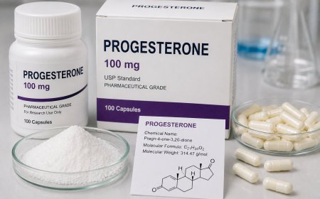 Progesterone Price Trend and Forecast 2026: Global Market Analysis and Industry Outlook