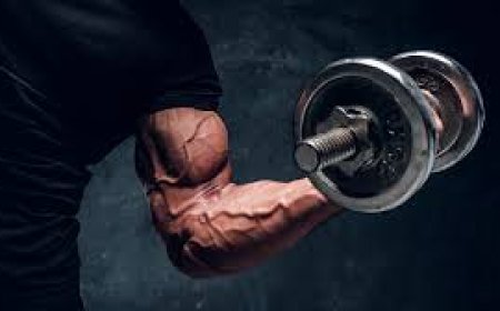 How to Spot High-Quality Steroids When Buying Online in the UK