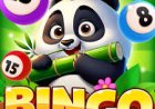 Discover New Opportunities for Entertainment with Pandawin