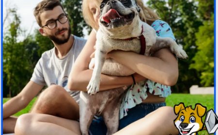 Reliable Dog Poop Pickup in DFW for a Cleaner, Healthier Yard