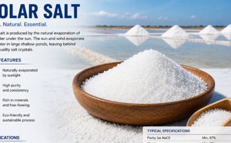Solar Salt Price Trend and Forecast 2026: Global Market Analysis and Industry Outlook
