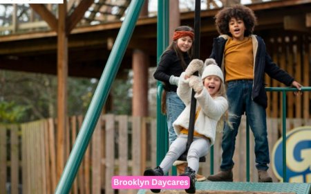 Are You Looking for the Best Brooklyn Daycares Services
