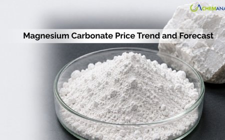 Magnesium Carbonate Price Trend, Chart, Index, News, Demand and Forecast 2026